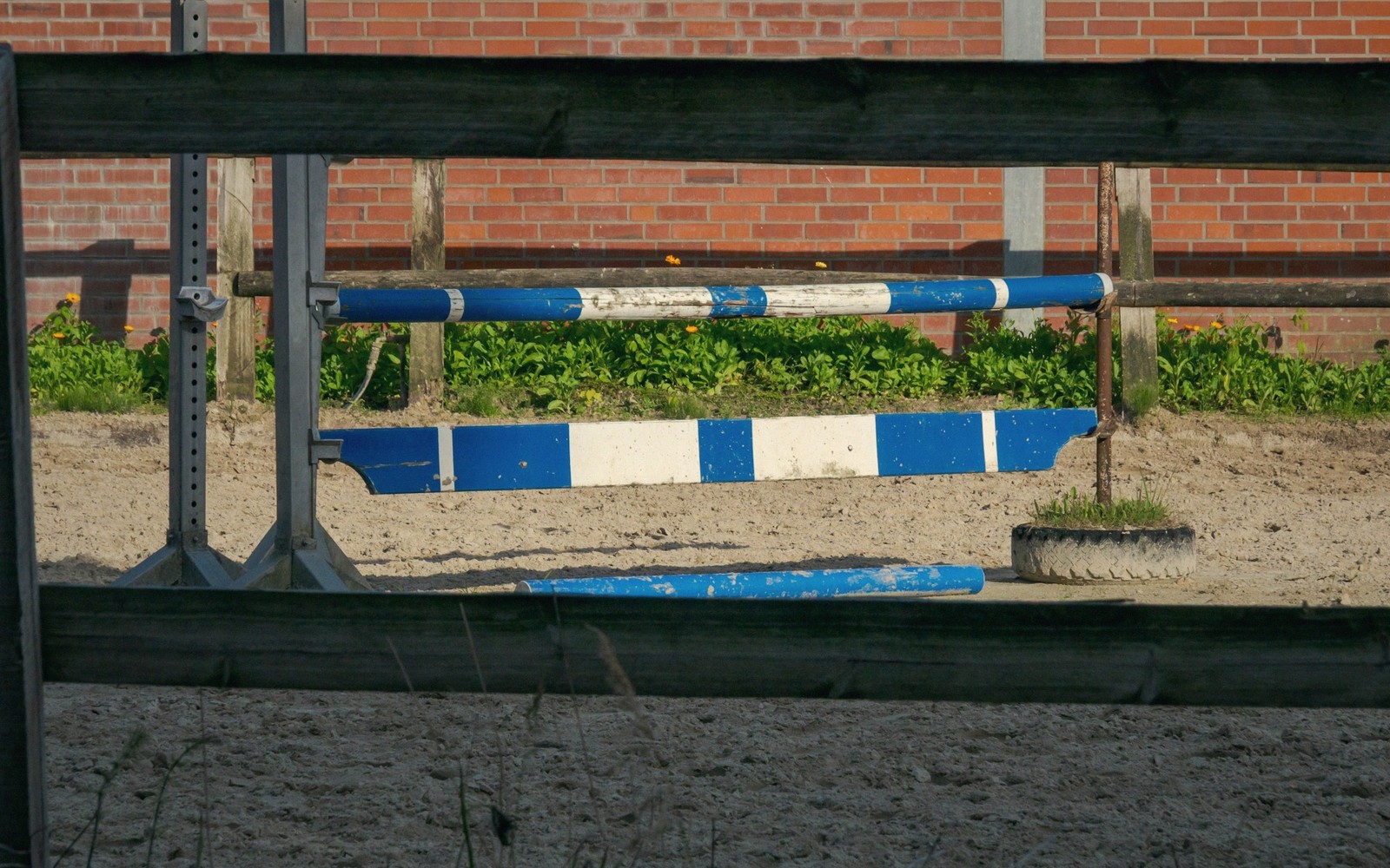 Empty show jumping arena at dawn with sand and rails
